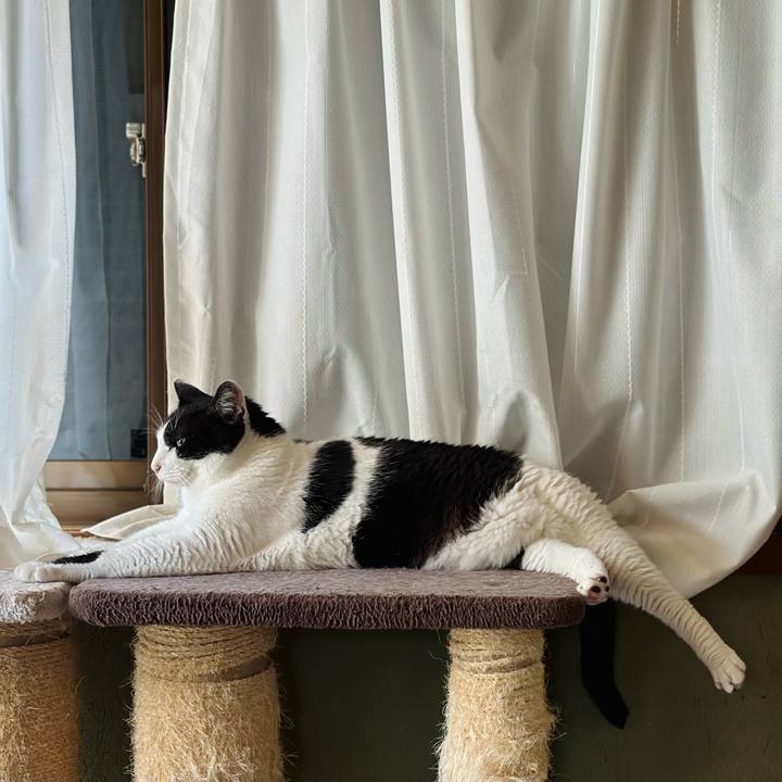 Eeb7ecf8 bd4b 4cc8 9d9c c666026f027d 1721864152359