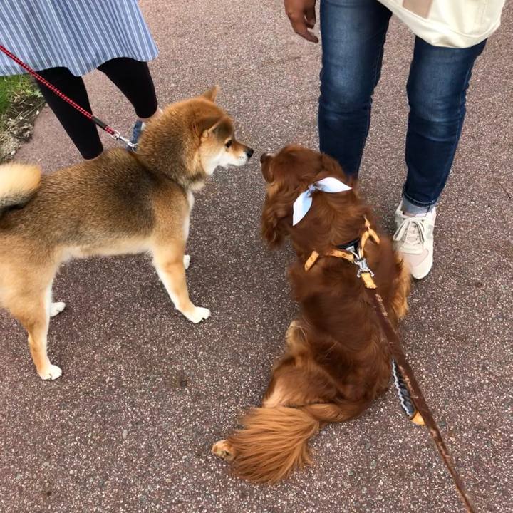 Eeb8010d 17ba 4c70 848b a23ce23972c2 1625878070236