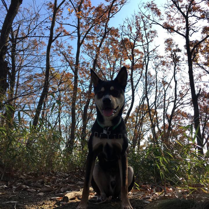 Eeb80d88 555f 4295 ace7 0291df20b2e0 1512270595409