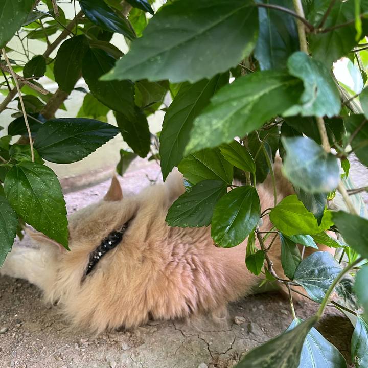 Eeb815b4 9443 4ea8 abbe 0071139d462d 1774329510308