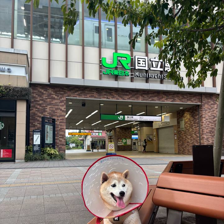 Eeb839ee 5a82 4041 bef5 16b739b15341 1756593926617