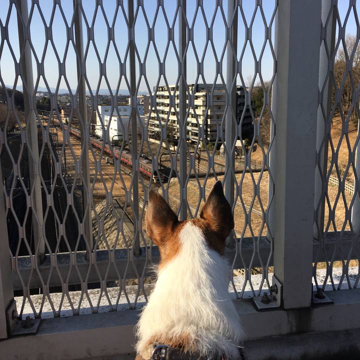 Eeb84886 c3ca 4bb9 80ee 9b51a81295e9 1614471477903