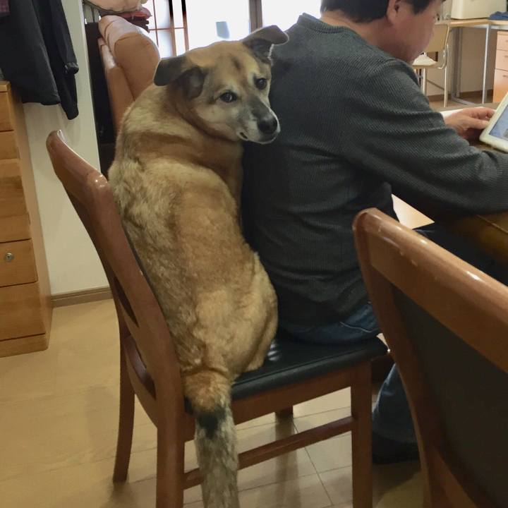 Eeb8617d d01f 4016 9344 ff7259933def 1553925525054