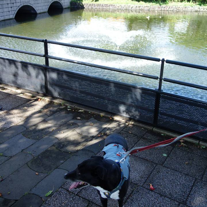 Eeb8726d 3f69 4283 9dee 5be7707615d5 1719191105686