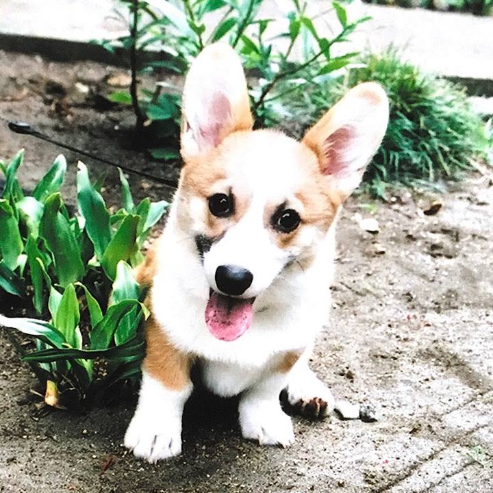 Eeb8efdd e20b 4cf1 9909 fd6be12e9d7b 1623471291645