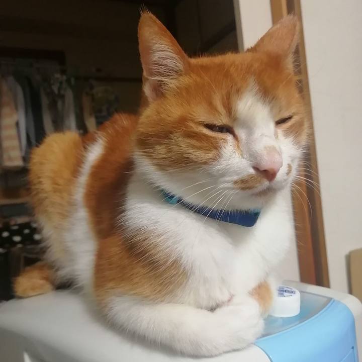 Eeb8ffaf 289c 4651 bd5e 01e614b6da99 1626173994283