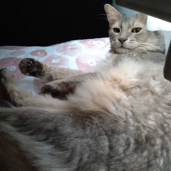 Eeb90d5d ec40 4528 9e3f 7763220f98c9 1626486352591