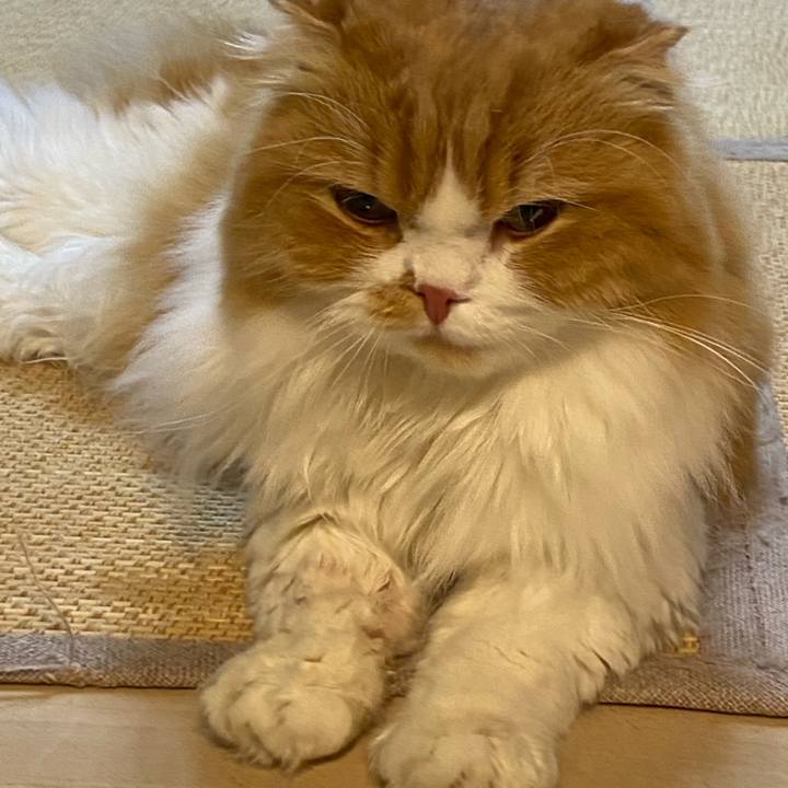 Eeb93d2a e235 4f14 b9fd 4b8943514833 1603844794792