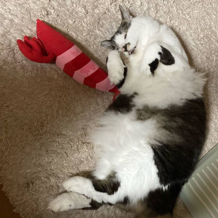 Eeb941d3 9880 49bd a288 d3ead6d8be58 1709471270189