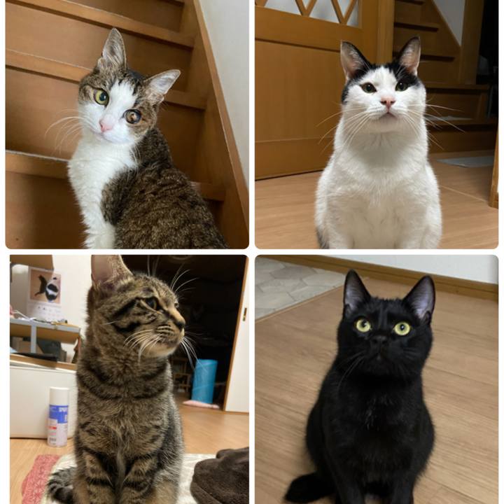 Eeb94c17 4932 431f a8ed e224d6f0b831 1621945668896