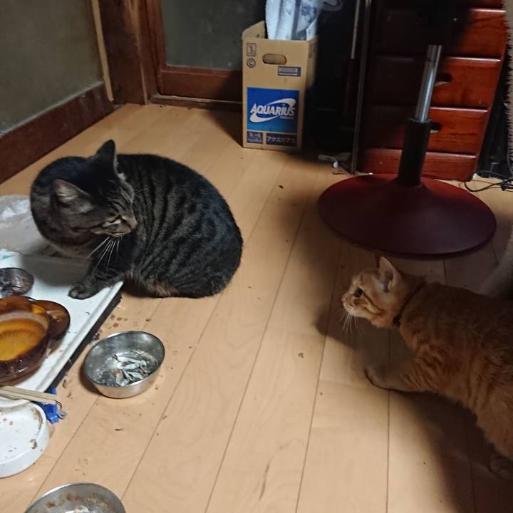 Eeb95889 3978 46cf 95bb b9fb1f5af880 1636235090839