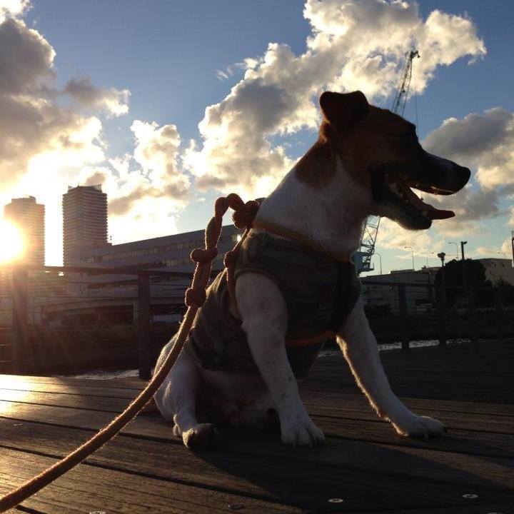 Eeb99cbc c141 46a5 97e5 6f434a88e4e0 1663676714024