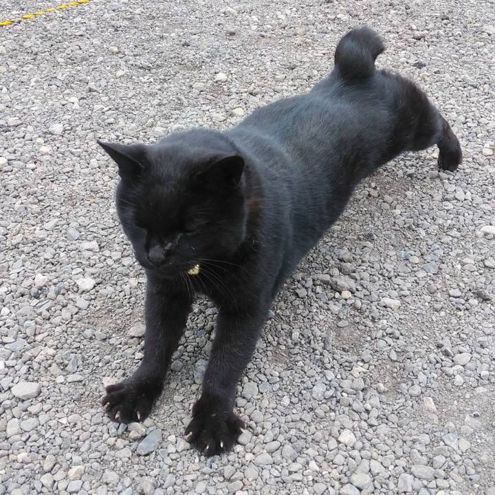 Eeb9a87a cc56 4cad b789 d5979f46ad2e 1576200130565