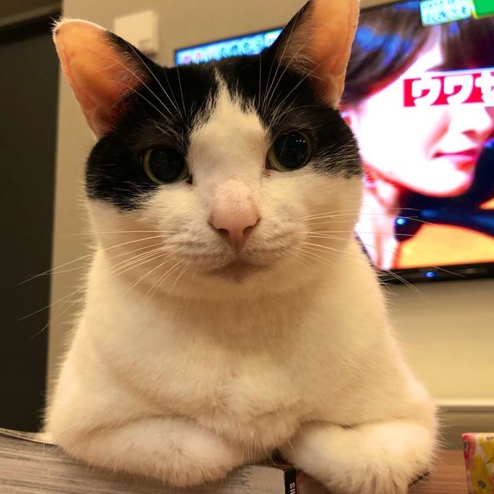 Eeba3aaf 1cb7 4c5e bfa8 c8ea297bd7e7 1627896990668