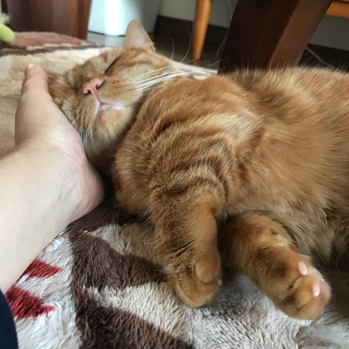 Eeba674e e4ca 482f 94e5 da6e54c6f1dc 1520835602828