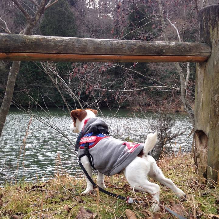 Eeba8556 089e 4e39 a05b 367fa0527044 1516694520057