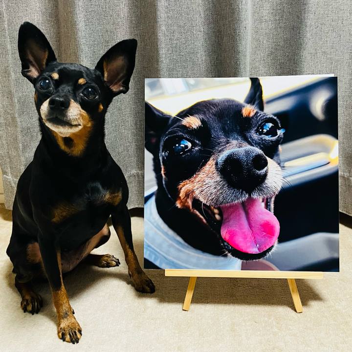 Eeba9c82 3a5f 484a aee2 9971f92d2975 1761220457134