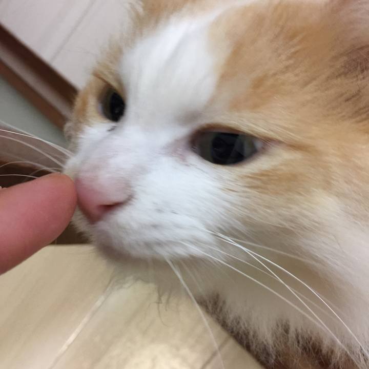 Eebab8bc c77e 4dc2 a8a1 6435099b0fe1 1513895738792