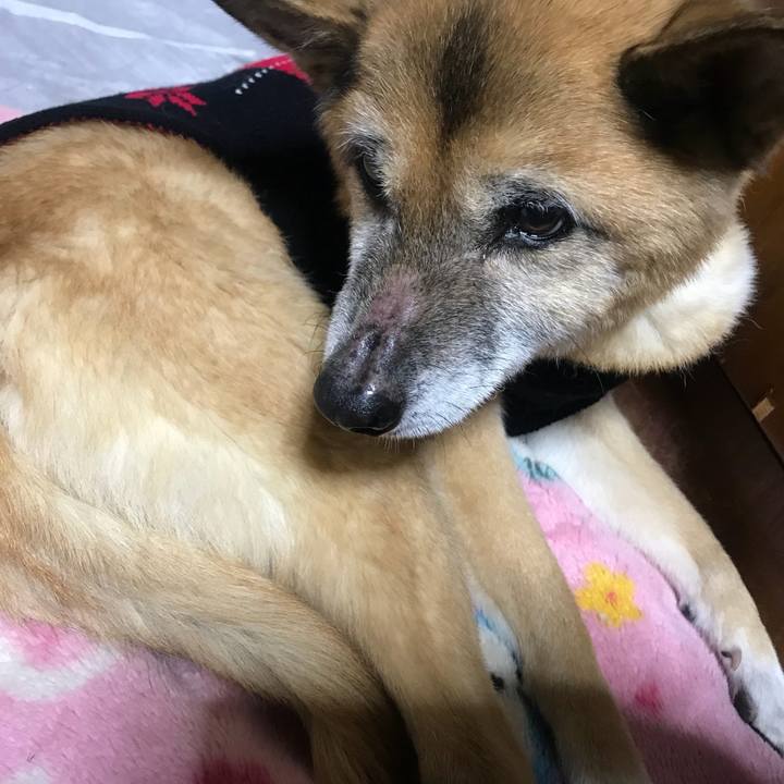 Eebad989 c299 4da6 9e5f 610ff3c1a7b8 1545535726201