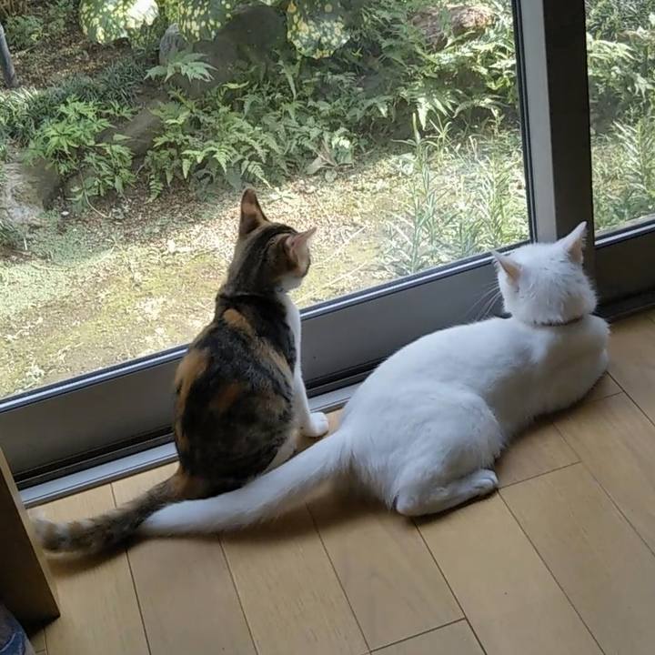 Eebb2a86 89eb 484b 9774 e130d929b45a 1630101440544