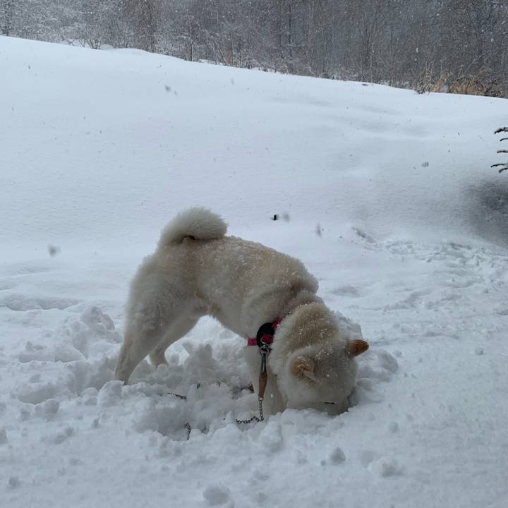 Eebb8429 4e1e 4db8 9009 a36d0f05ca0c 1582437983874