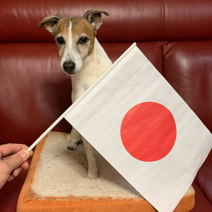 Eebb9e18 b151 4e5d 9991 417ddd901b2a 1574851127410