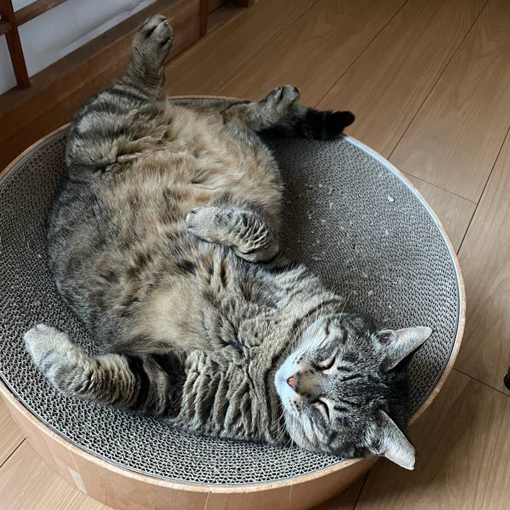 Eebbac75 69db 4420 8657 cd5609e4650b 1653470401600