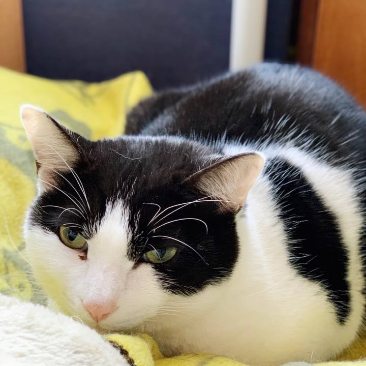 Eebbeef2 1a36 47e6 9a3c 1b6898145355 1548466936277