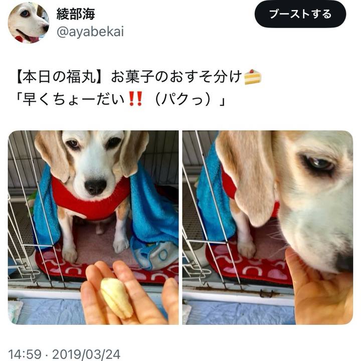 Eebc1418 1921 4dd3 b070 b1a1b920f7f6 1742775745949