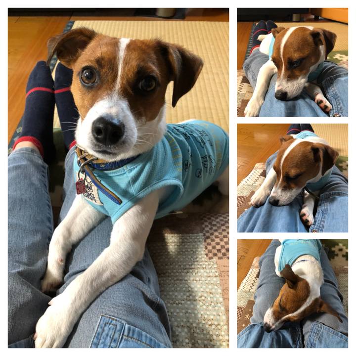 Eebc4006 7927 442e bd10 73baae92274e 1528186189856