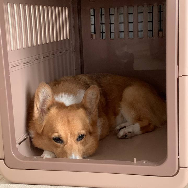 Eebc5be6 499a 40be a558 698fc7b66741 1688532701487