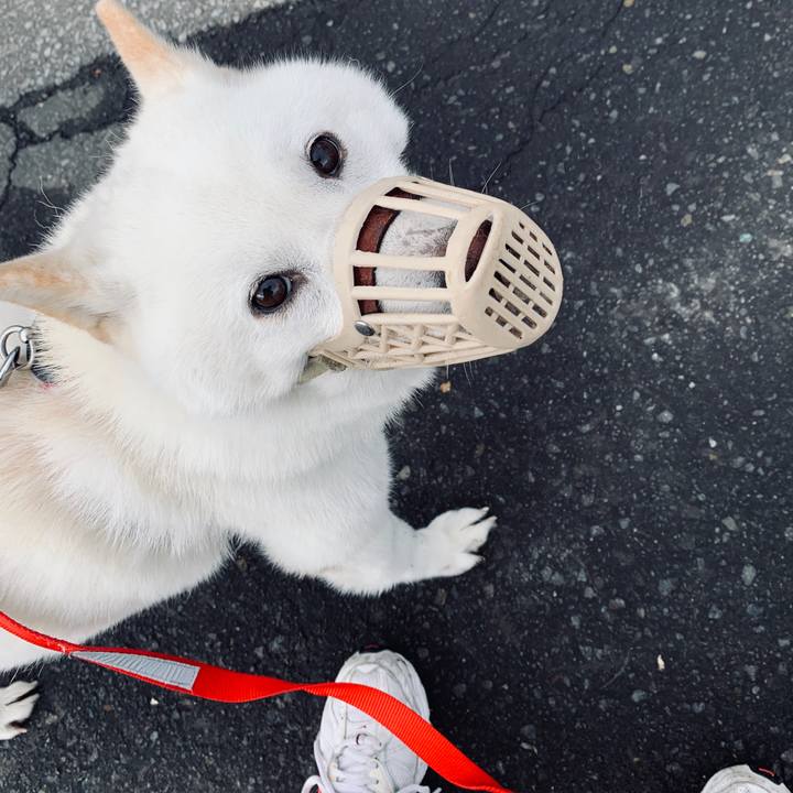 Eebc9d92 8b56 49a2 a984 08a6e6a04cb1 1589148331373