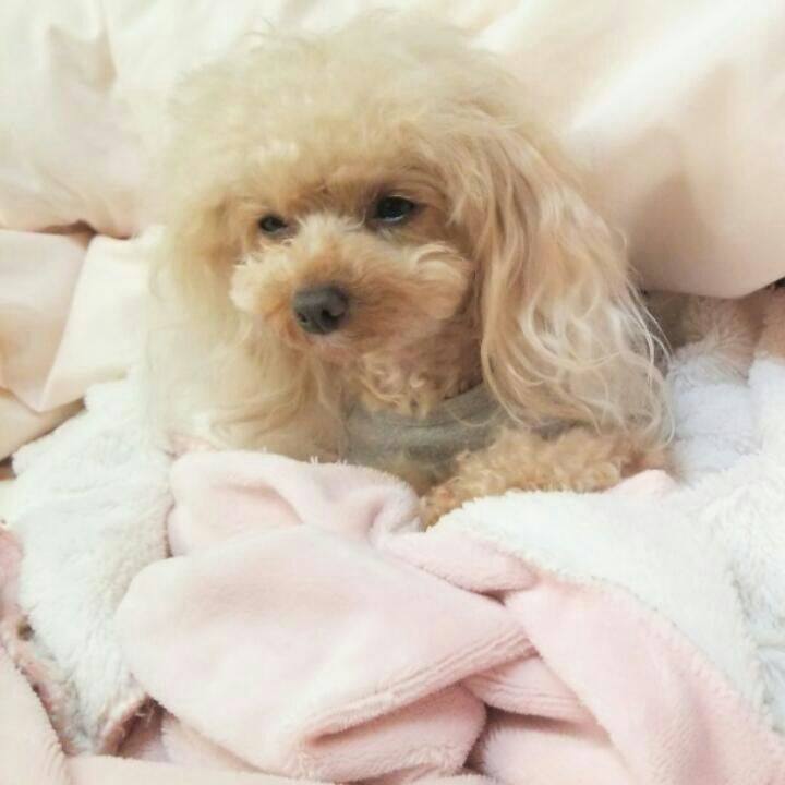 Eebcbca9 6c31 4f18 84e4 87992c9f38bb 1542201566520