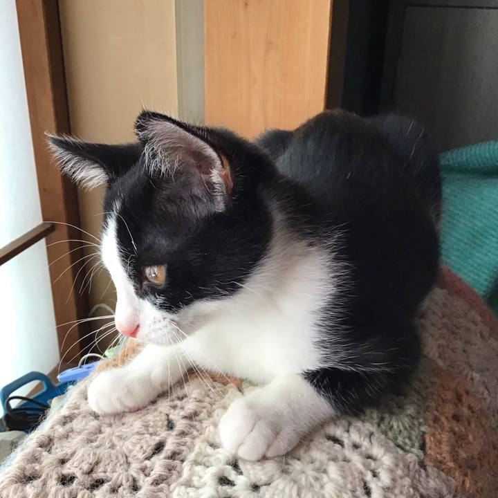 Eebcbdce a495 4740 9a5d 62e38c91e18d 1626485460502