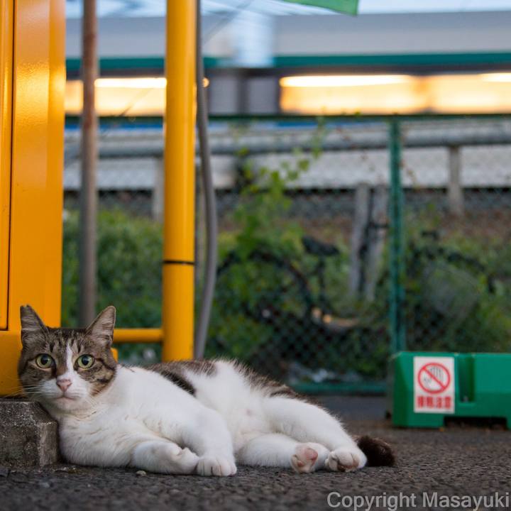 Eebcdd76 1d8b 4beb 88fd d690040ba6f7 1598662695202