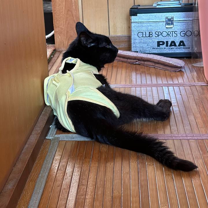 Eebd2e13 76d1 455b 94d0 a965a8f1dcfa 1718589667680