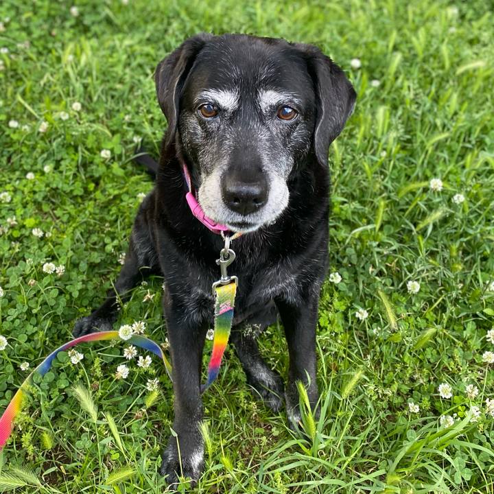 Eebd3239 d9c1 4b6f ad9e 860196d2b343 1758983971544