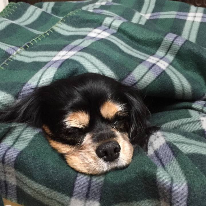 Eebd7b59 c3ba 4441 b03e 4ff7acb29544 1543204404773