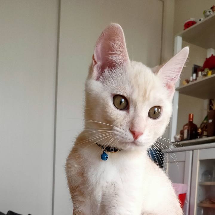 Eebda7b9 fa88 4caf a482 27cbda5b0d45 1627981247321