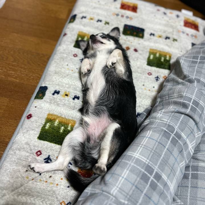 Eebdab2b 2411 4e01 a090 a88a95b7c676 1703931843535