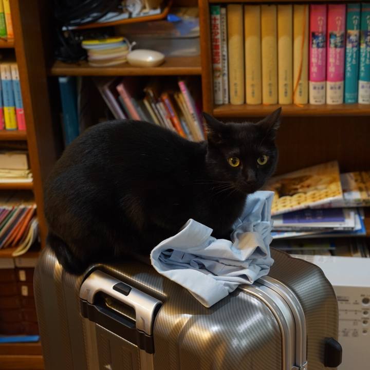 Eebdc687 5798 4de5 ae57 876764d7c05a 1551623915820