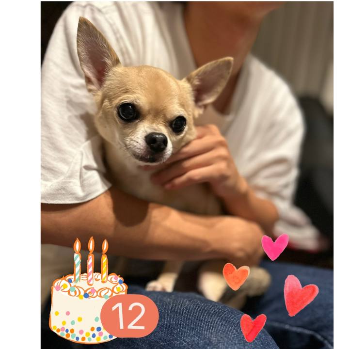 Eebdd6c4 8650 4873 bea8 4682f5865129 1757743047577