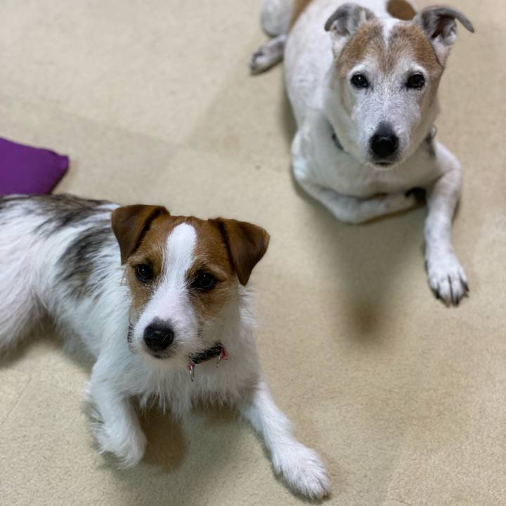 Eebdecef f274 4845 97aa 38847f18711b 1637539486629