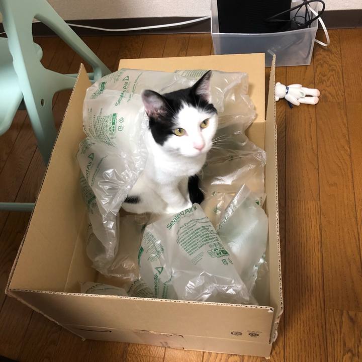 Eebe02cd 0baf 4b87 aefc c7b519e31b01 1593743607233