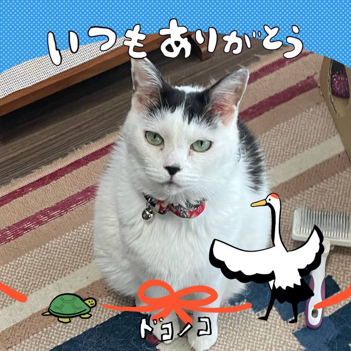 Eebe1b7b 0a3b 4e16 bb3e 672f7f99a33e 1726970389501