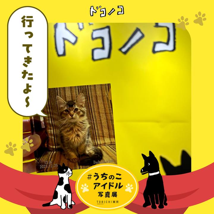 Eebe26a8 811d 4b0a b1ad da1eaf2ae204 1761722585793