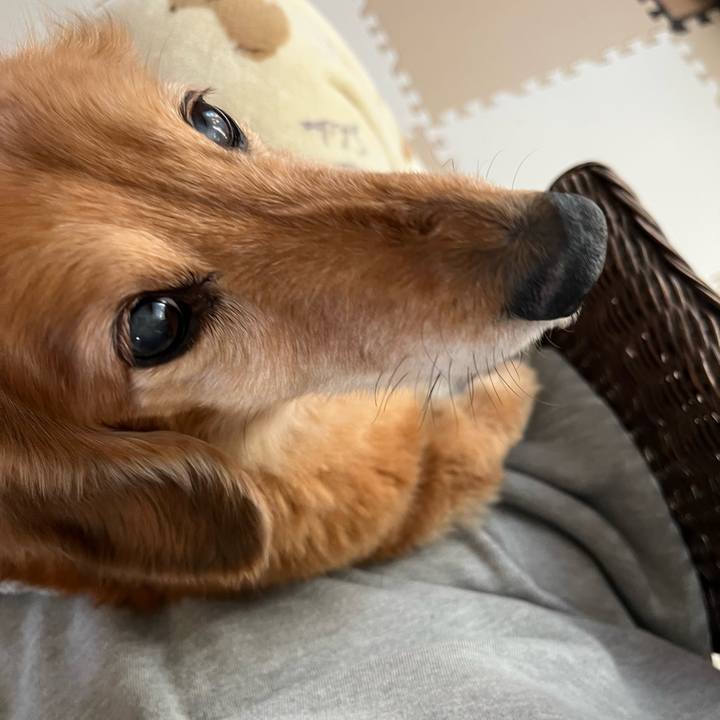 Eebe350e 0111 4bdc 9940 f7ed139d044f 1645953540466