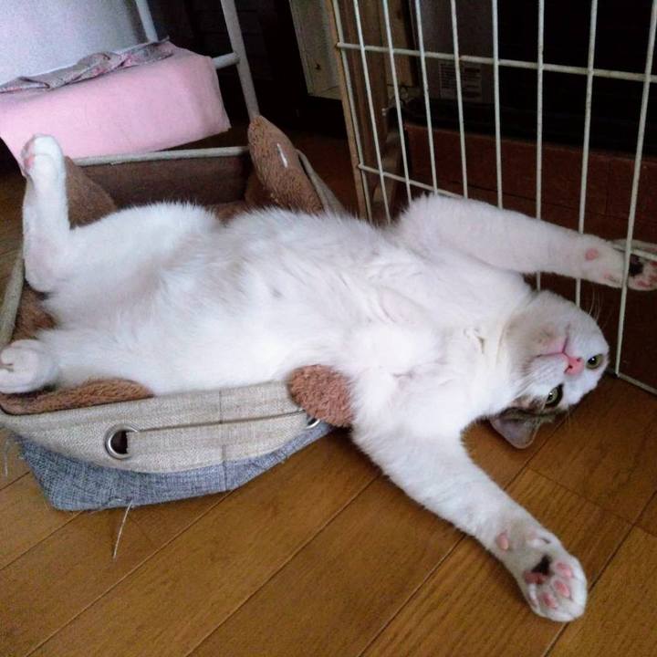 Eebe427f 4b49 4453 9eb9 fd5ca931809e 1679628927189