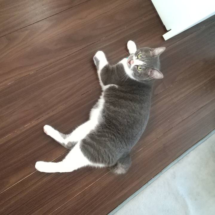 Eebe5ec8 8f63 45a6 bf3e 04dc96754b01 1628633010837