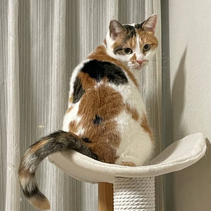 Eebe875a 9a77 4e09 867c a32b04927427 1705932150476